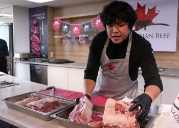 3dbc3e7ef3cc4c2ea66d7d8dcb5b508c