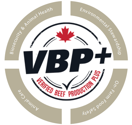 CB VBP+