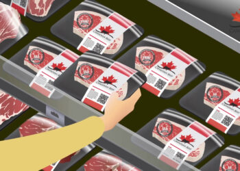 Understanding Canada’s Beef Grading System