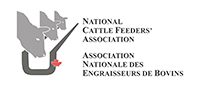 ncfa