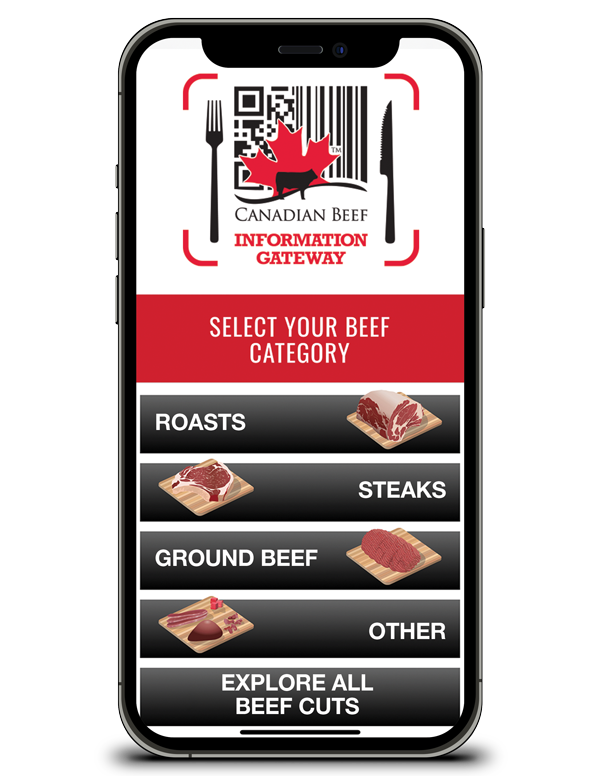 phone screen scan