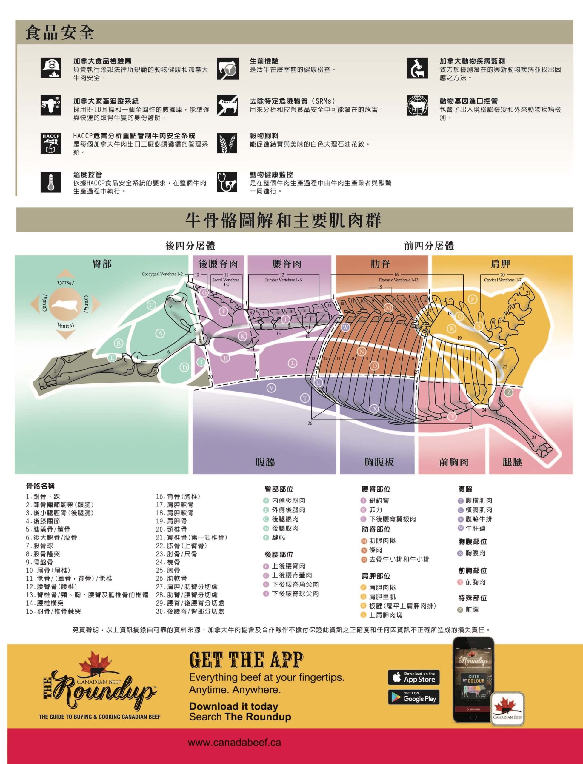 加拿大牛肉協會-加拿大肉品簡介-正面-食品安全